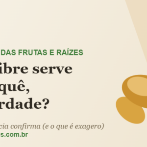 Raiz de gengibre com broto verde e o título do artigo sobre para que serve o gengibre