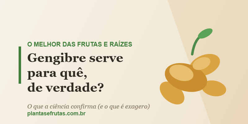 Raiz de gengibre com broto verde e o título do artigo sobre para que serve o gengibre